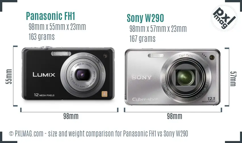 Panasonic FH1 vs Sony W290 size comparison