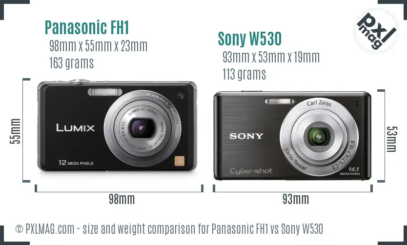 Panasonic FH1 vs Sony W530 size comparison