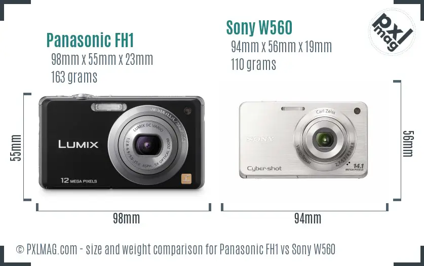 Panasonic FH1 vs Sony W560 size comparison