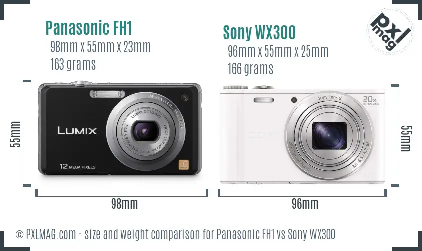 Panasonic FH1 vs Sony WX300 size comparison