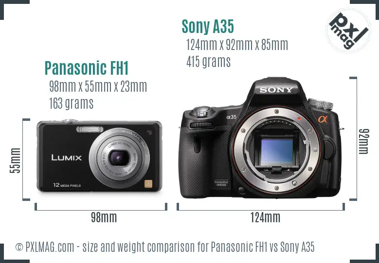 Panasonic FH1 vs Sony A35 size comparison