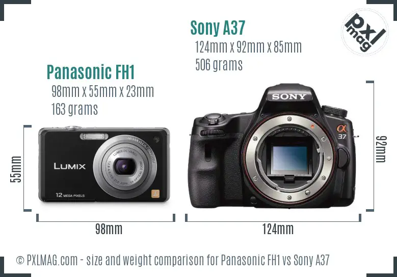 Panasonic FH1 vs Sony A37 size comparison