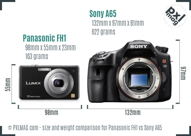 Panasonic FH1 vs Sony A65 size comparison