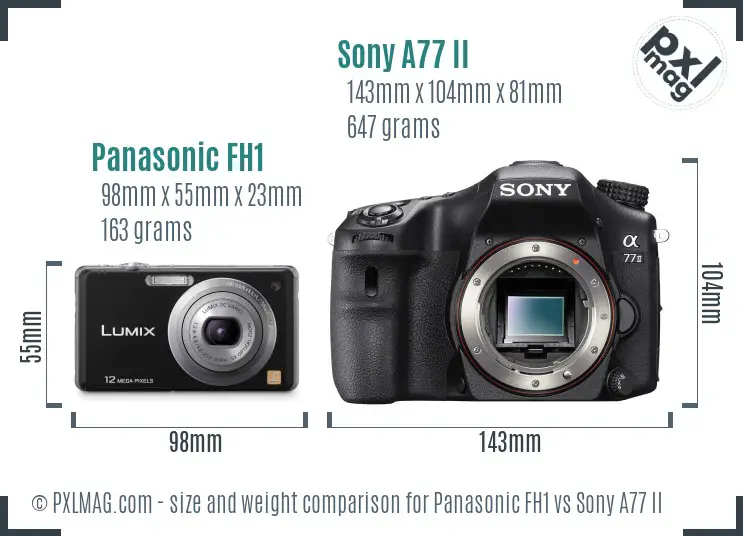Panasonic FH1 vs Sony A77 II size comparison