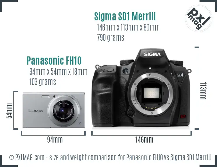 Panasonic FH10 vs Sigma SD1 Merrill size comparison