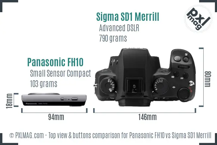 Panasonic FH10 vs Sigma SD1 Merrill top view buttons comparison