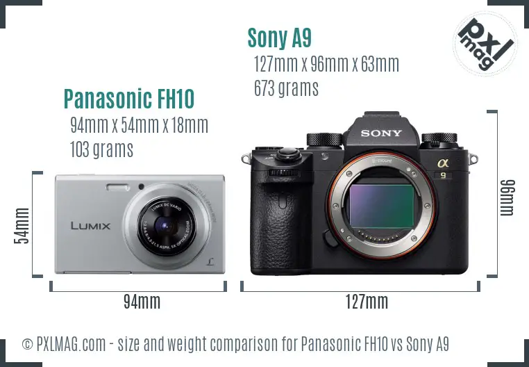 Panasonic FH10 vs Sony A9 size comparison