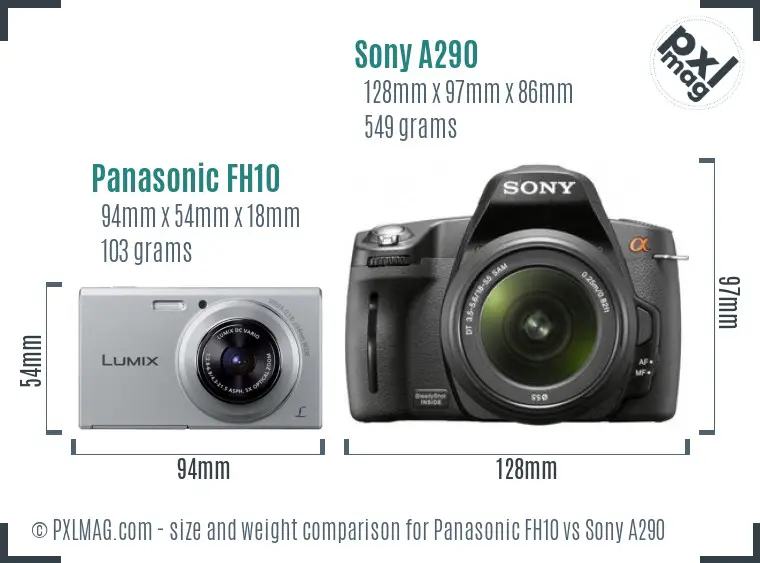 Panasonic FH10 vs Sony A290 size comparison