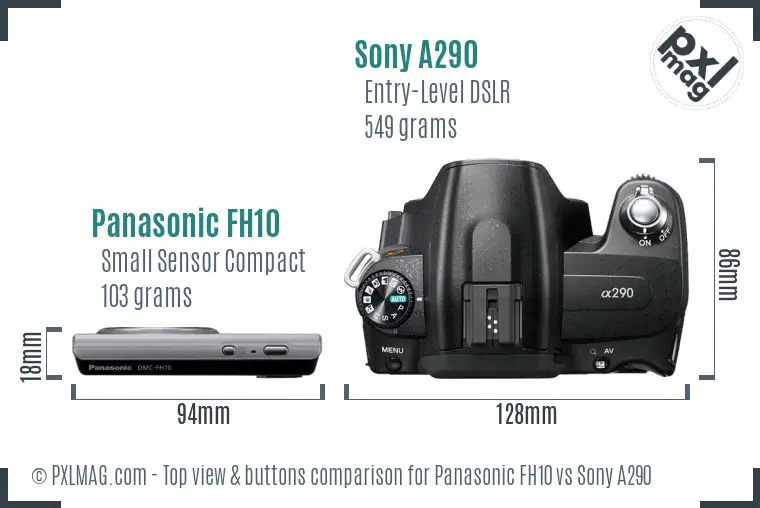 Panasonic FH10 vs Sony A290 top view buttons comparison