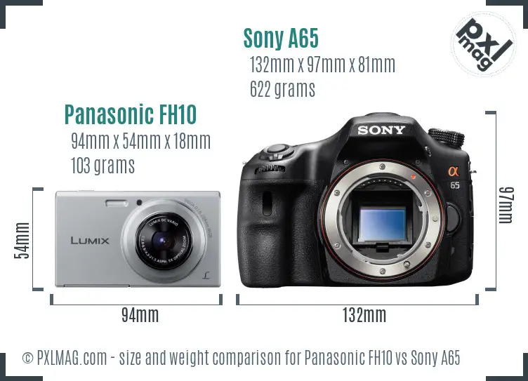 Panasonic FH10 vs Sony A65 size comparison