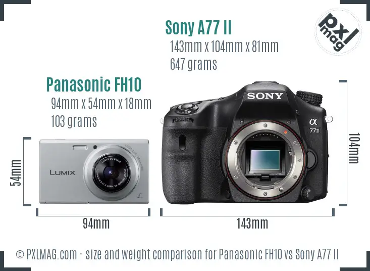 Panasonic FH10 vs Sony A77 II size comparison