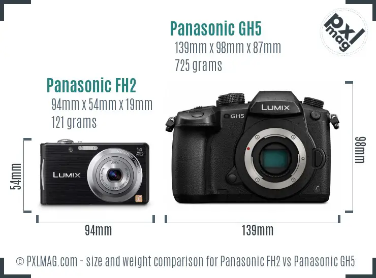 Panasonic FH2 vs Panasonic GH5 size comparison Panasonic FH2 vs Panasonic GH5 size comparison