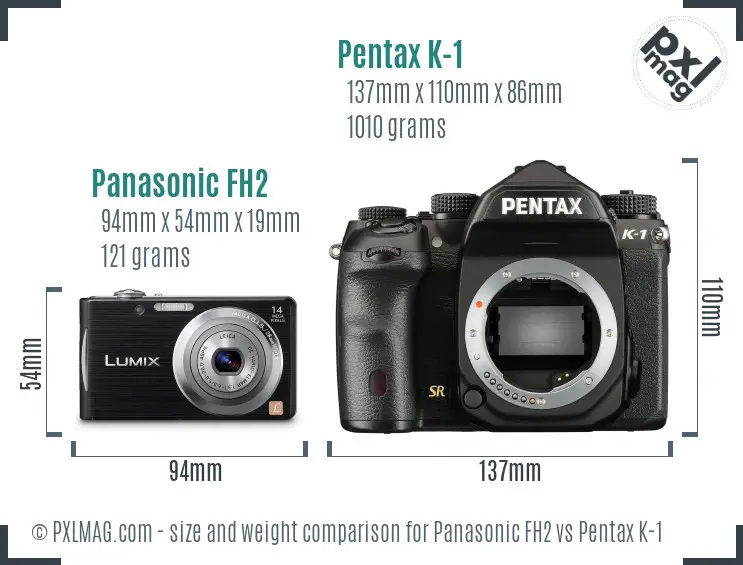 Panasonic FH2 vs Pentax K-1 size comparison