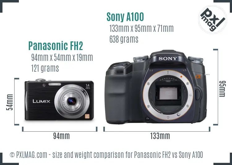 Panasonic FH2 vs Sony A100 size comparison