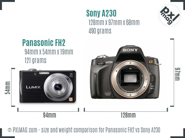 Panasonic FH2 vs Sony A230 size comparison