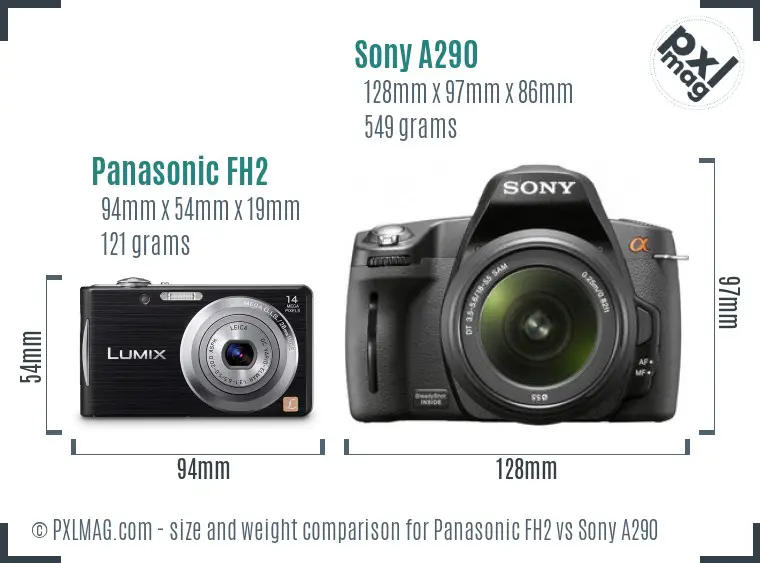 Panasonic FH2 vs Sony A290 size comparison