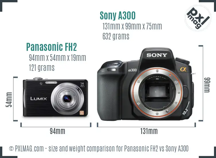 Panasonic FH2 vs Sony A300 size comparison