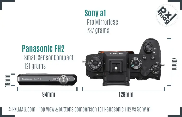 Panasonic FH2 vs Sony a1 top view buttons comparison