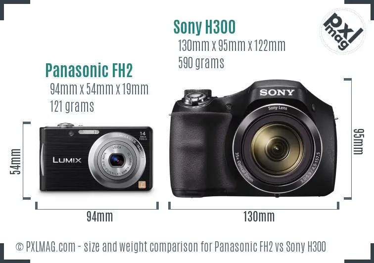 Panasonic FH2 vs Sony H300 size comparison