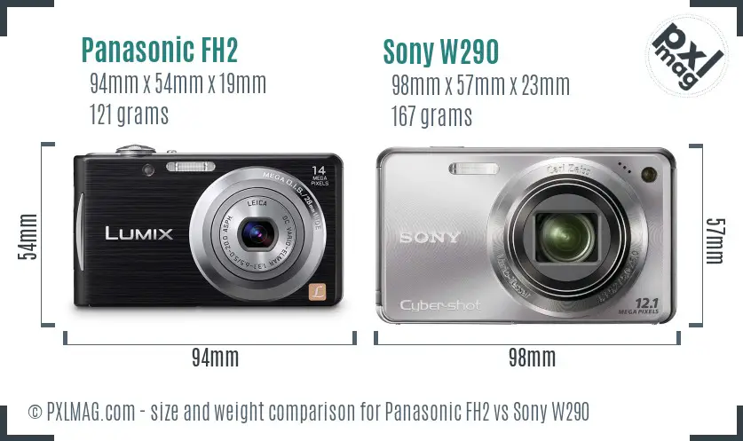 Panasonic FH2 vs Sony W290 size comparison