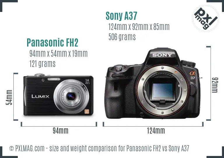 Panasonic FH2 vs Sony A37 size comparison
