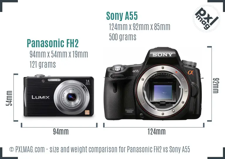 Panasonic FH2 vs Sony A55 size comparison