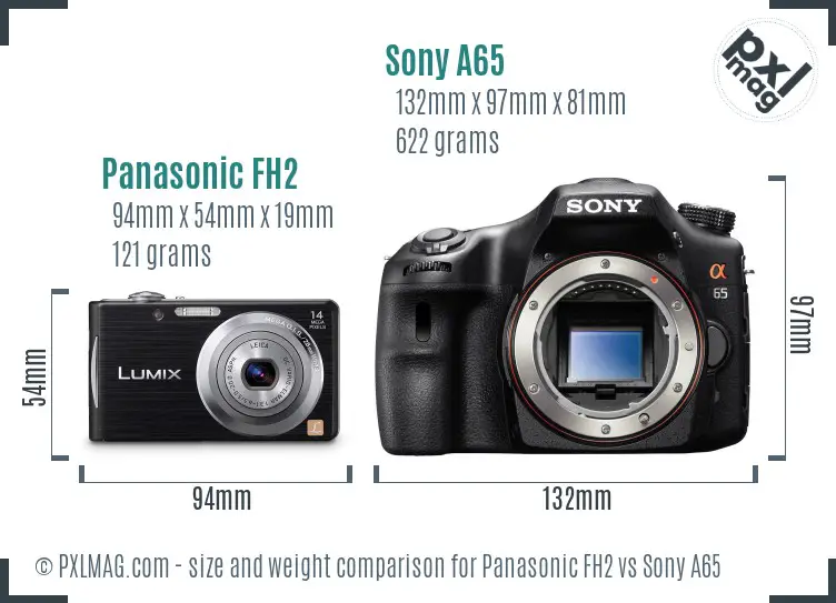Panasonic FH2 vs Sony A65 size comparison