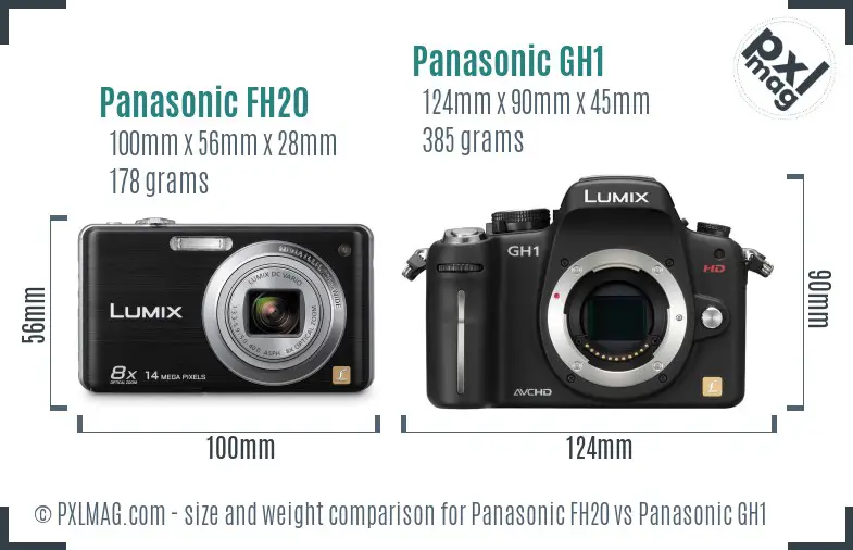 Panasonic FH20 vs Panasonic GH1 size comparison