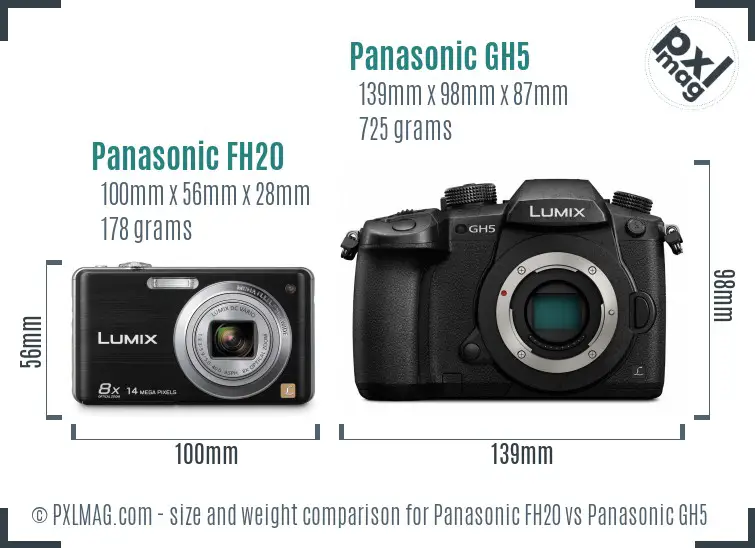 Panasonic FH20 vs Panasonic GH5 size comparison