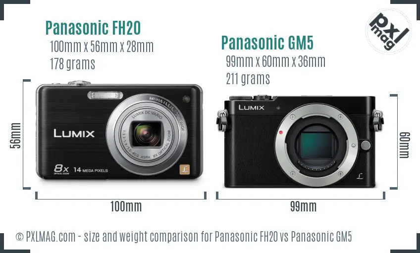 Panasonic FH20 vs Panasonic GM5 size comparison