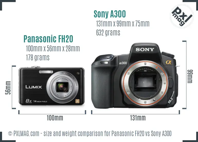 Panasonic FH20 vs Sony A300 size comparison