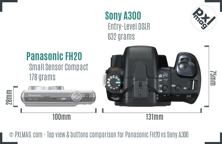 Panasonic FH20 vs Sony A300 top view buttons comparison