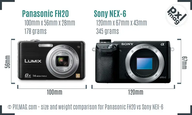 Panasonic FH20 vs Sony NEX-6 size comparison