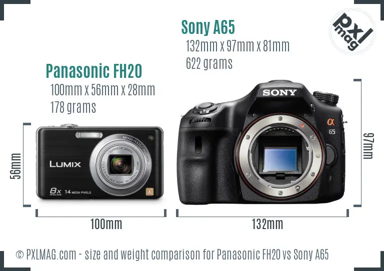 Panasonic FH20 vs Sony A65 size comparison