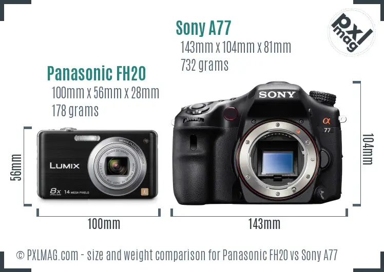 Panasonic FH20 vs Sony A77 size comparison