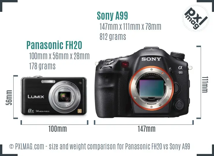 Panasonic FH20 vs Sony A99 size comparison