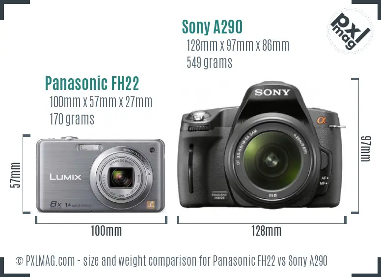 Panasonic FH22 vs Sony A290 size comparison
