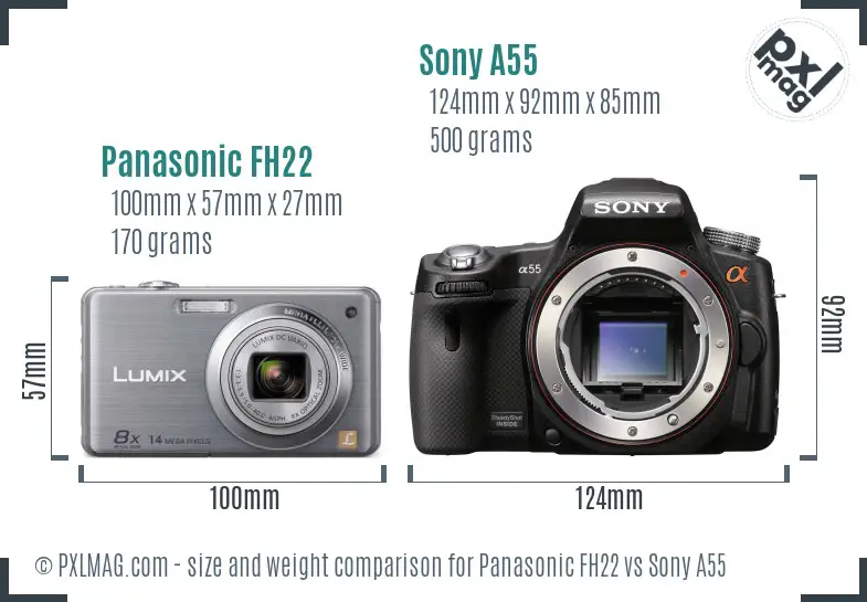 Panasonic FH22 vs Sony A55 size comparison