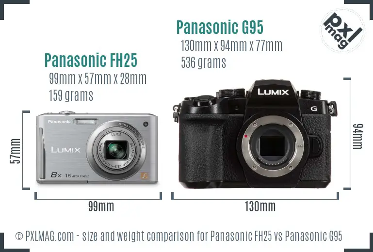 Panasonic FH25 vs Panasonic G95 size comparison