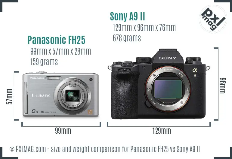 Panasonic FH25 vs Sony A9 II size comparison
