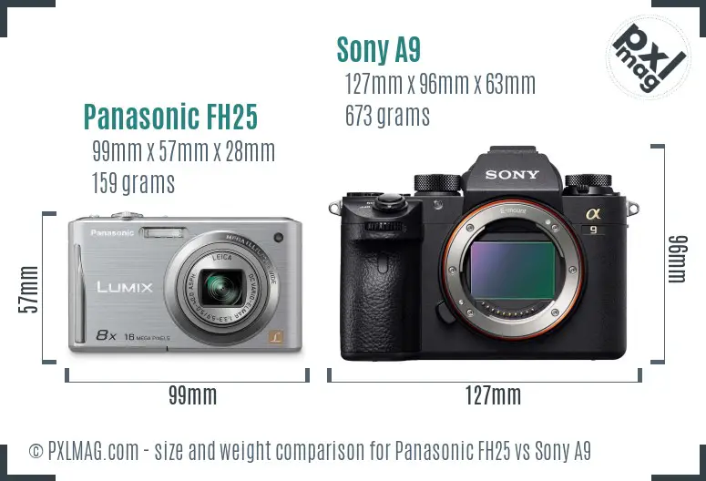 Panasonic FH25 vs Sony A9 size comparison