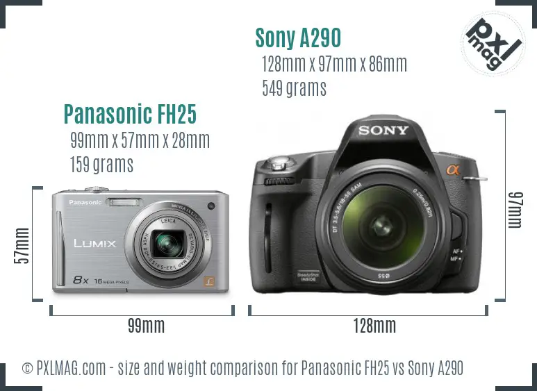 Panasonic FH25 vs Sony A290 size comparison