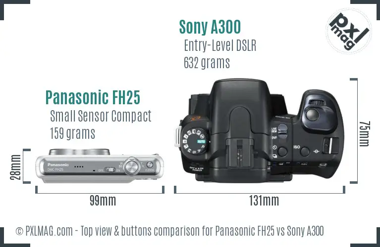 Panasonic FH25 vs Sony A300 top view buttons comparison