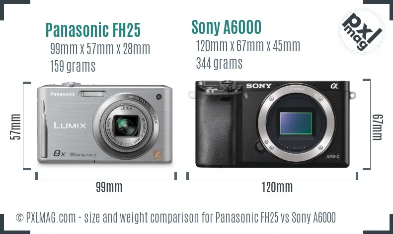 Panasonic FH25 vs Sony A6000 size comparison