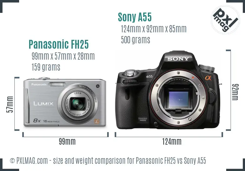 Panasonic FH25 vs Sony A55 size comparison