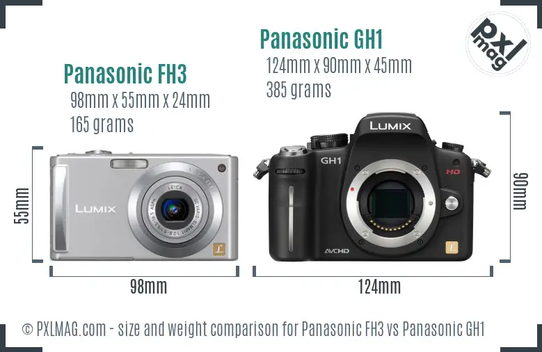 Panasonic FH3 vs Panasonic GH1 size comparison