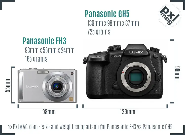 Panasonic FH3 vs Panasonic GH5 size comparison