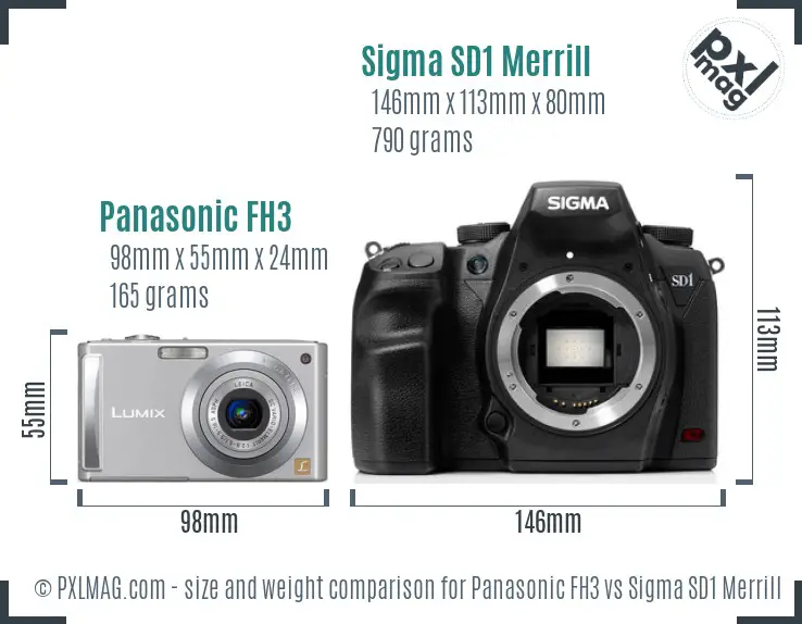 Panasonic FH3 vs Sigma SD1 Merrill size comparison