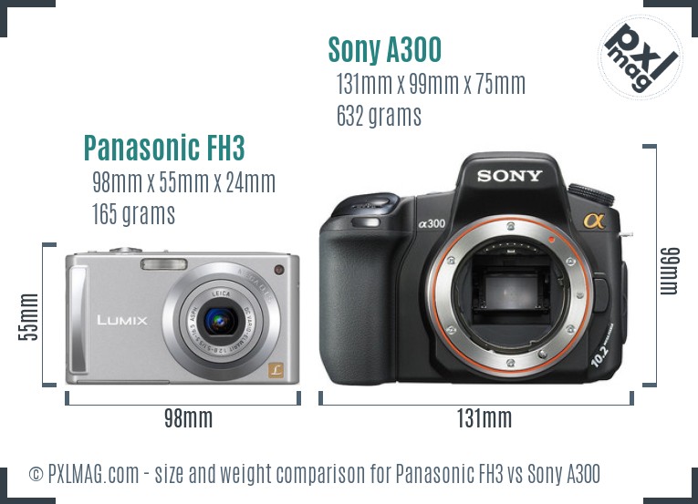 Panasonic FH3 vs Sony A300 size comparison