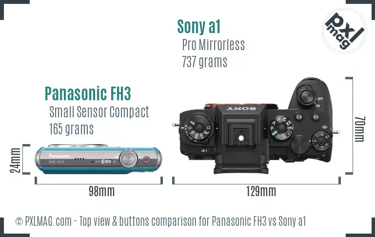 Panasonic FH3 vs Sony a1 top view buttons comparison